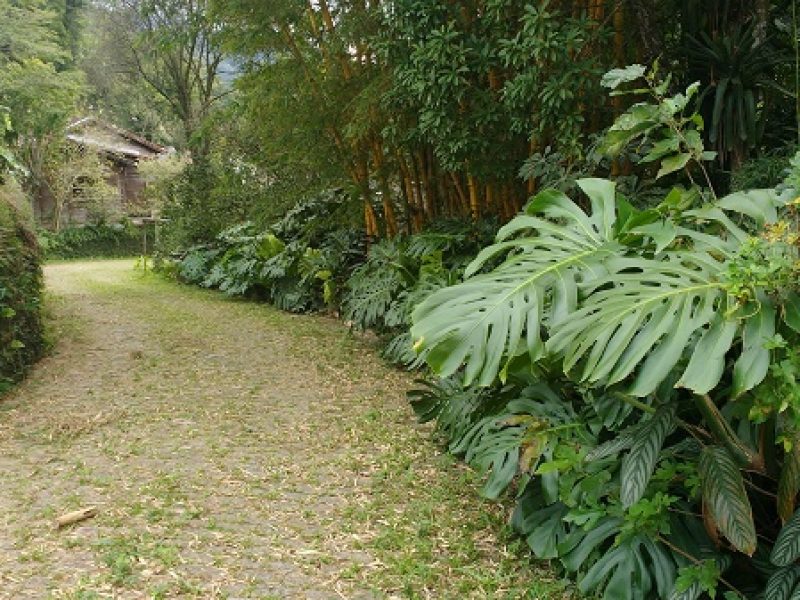 Área com 5mil m² em Petrópolis por R$2.000.000