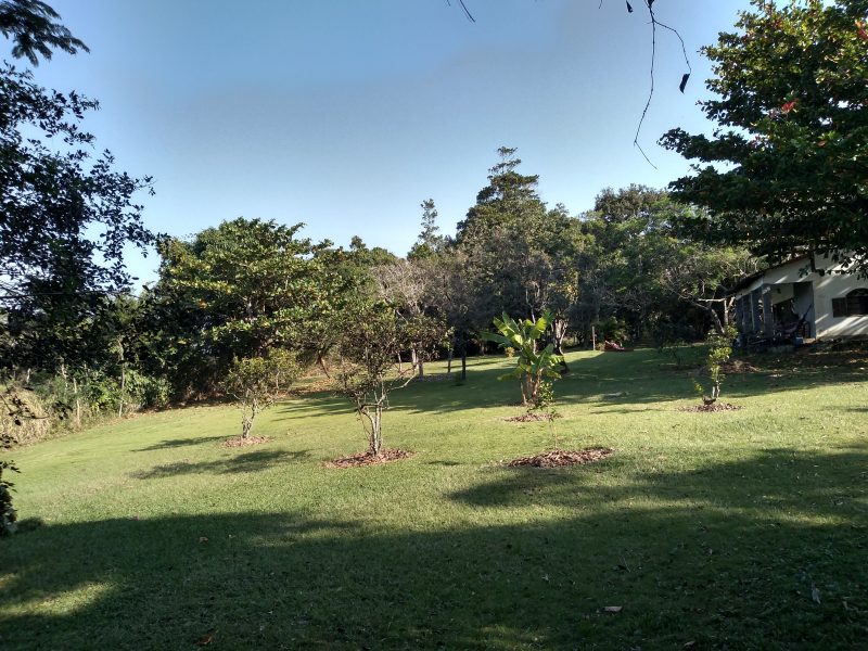 Oportunidade para investidores! Área com 12 mil m²! Terreno plano, bem localizado